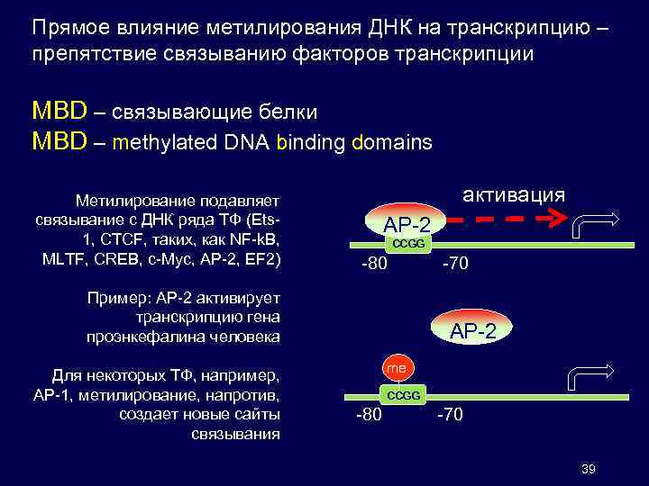 Прямое влияние метилирования ДНК на транскрипцию – препятствие связыванию факторов транскрипции MBD – связывающие
