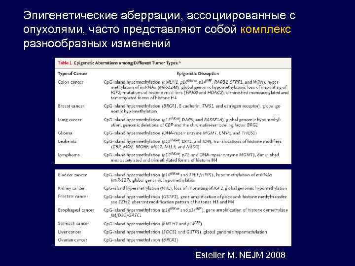 Эпигенетические аберрации, ассоциированные с опухолями, часто представляют собой комплекс разнообразных изменений Esteller M. NEJM