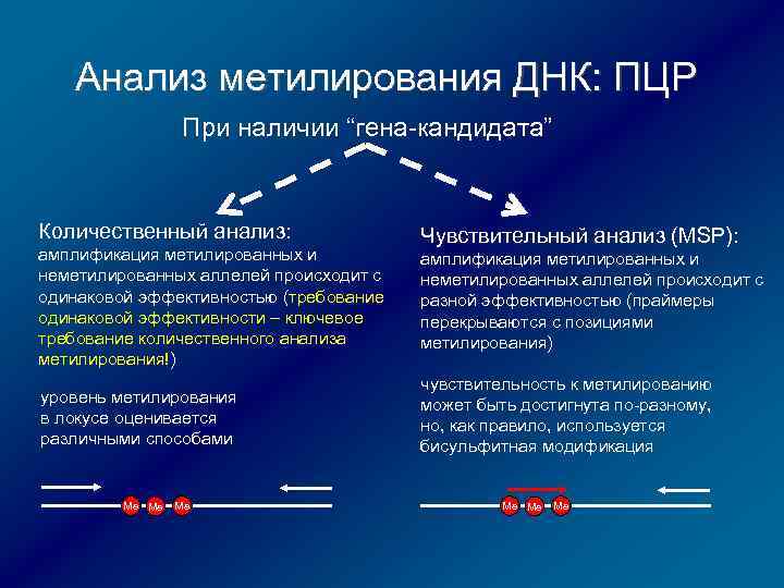 Анализ метилирования ДНК: ПЦР При наличии “гена-кандидата” Количественный анализ: амплификация метилированных и неметилированных аллелей