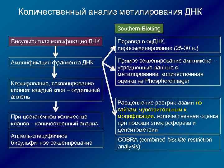 Количественный анализ метилирования ДНК Southern-Blotting Бисульфитная модификация ДНК Перевод в оц. ДНК, пиросеквенирование (25
