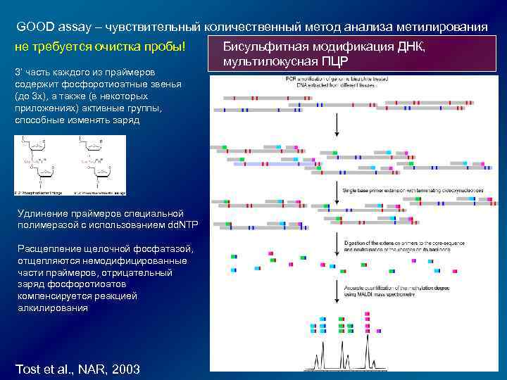 GOOD assay – чувствительный количественный метод анализа метилирования не требуется очистка пробы! 3’ часть