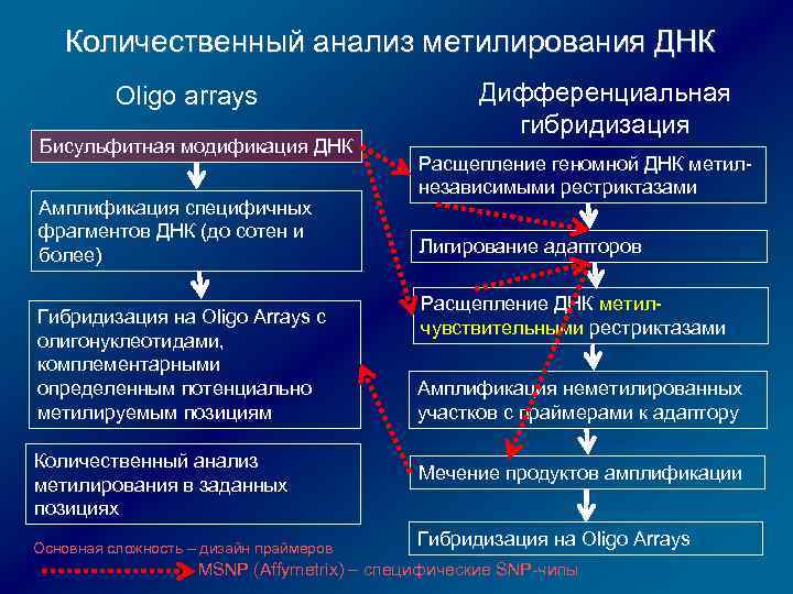 Количественный анализ метилирования ДНК Oligo arrays Бисульфитная модификация ДНК Амплификация специфичных фрагментов ДНК (до