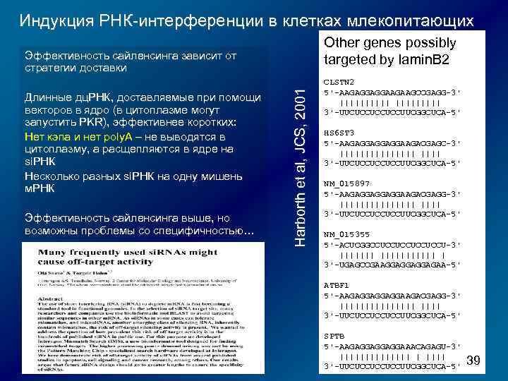 Индукция РНК-интерференции в клетках млекопитающих Other genes possibly targeted by lamin. B 2 Длинные