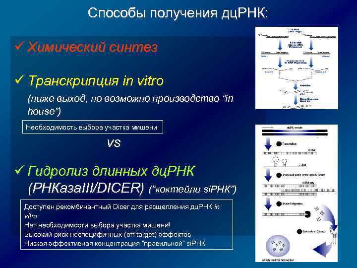 Способы получения дц. РНК: ü Химический синтез ü Транскрипция in vitro (ниже выход, но