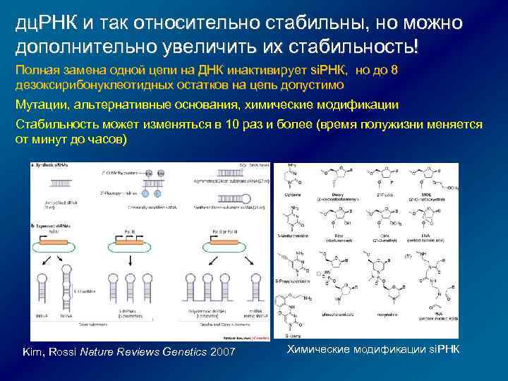 дц. РНК и так относительно стабильны, но можно дополнительно увеличить их стабильность! Полная замена