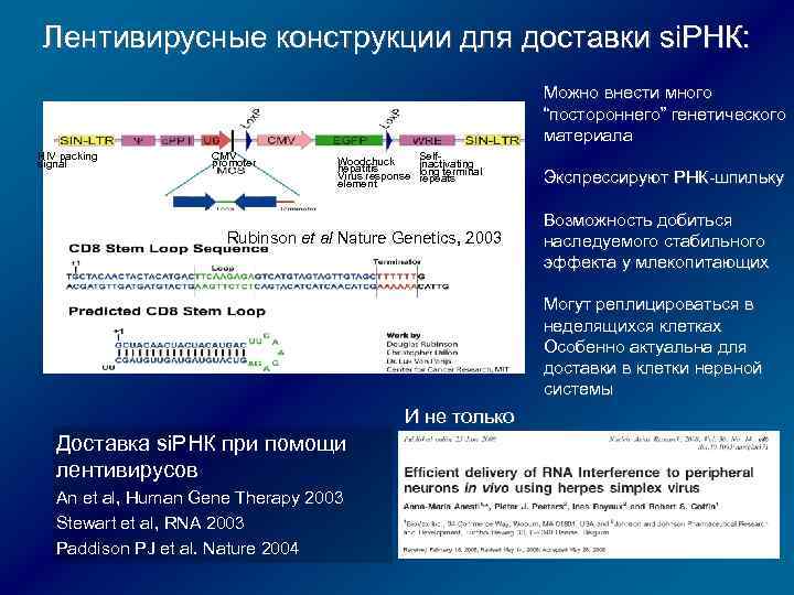 Лентивирусные конструкции для доставки si. РНК: Можно внести много “постороннего” генетического материала HIV packing