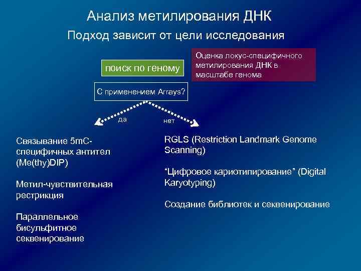 Анализ метилирования ДНК Подход зависит от цели исследования поиск по геному Оценка локус-специфичного метилирования