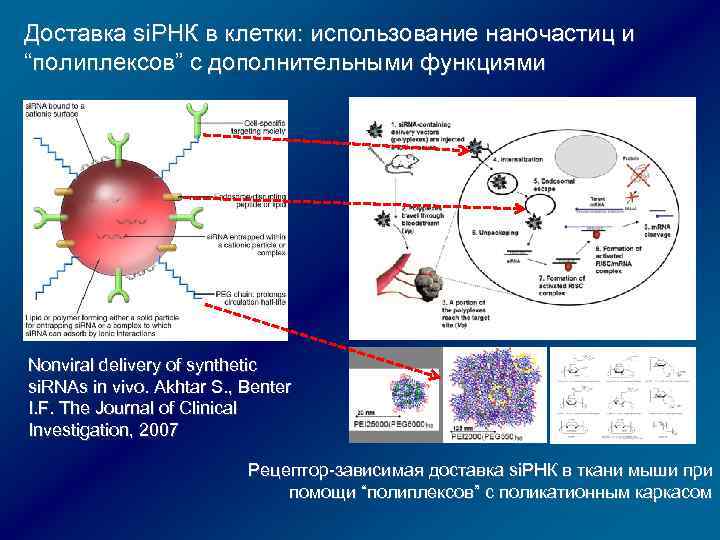 Доставка si. РНК в клетки: использование наночастиц и “полиплексов” с дополнительными функциями Nonviral delivery