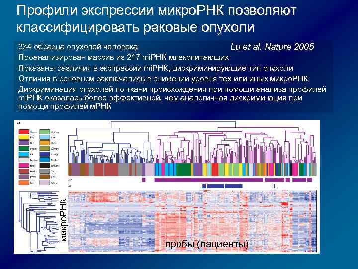 Профили экспрессии микро. РНК позволяют классифицировать раковые опухоли микро. РНК 334 образца опухолей человека
