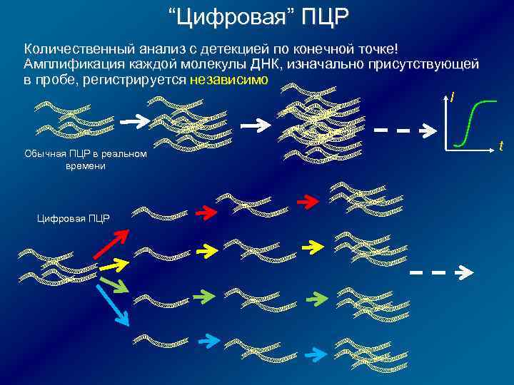 Количественные пцр наборы