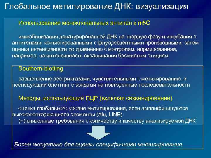 Глобальное метилирование ДНК: визуализация Использование моноклональных антител к m 5 C иммобилизация денатурированной ДНК