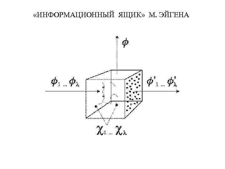  «ИНФОРМАЦИОННЫЙ ЯЩИК» М. ЭЙГЕНА 