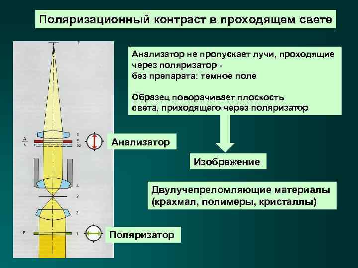 Поляризационный контраст в проходящем свете Анализатор не пропускает лучи, проходящие через поляризатор без препарата: