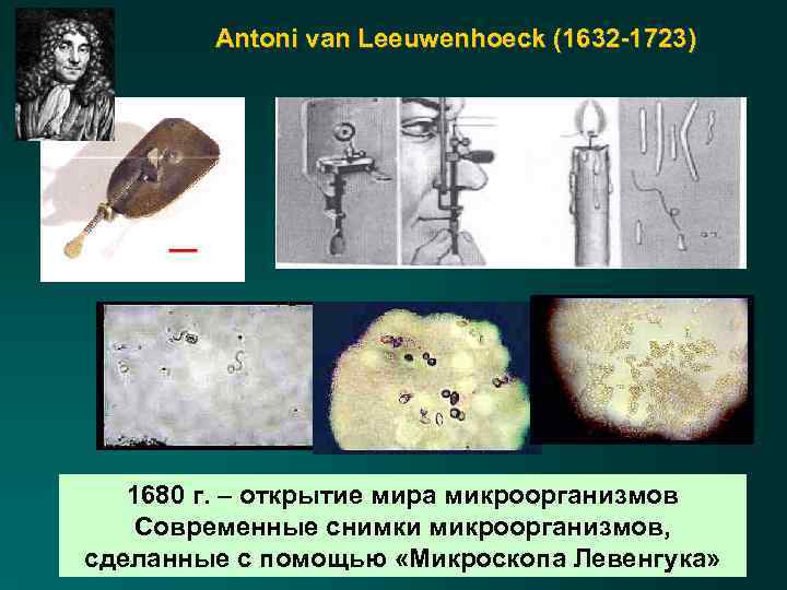 Antoni van Leeuwenhoeck (1632 -1723) 1680 г. – открытие мира микроорганизмов Современные снимки микроорганизмов,