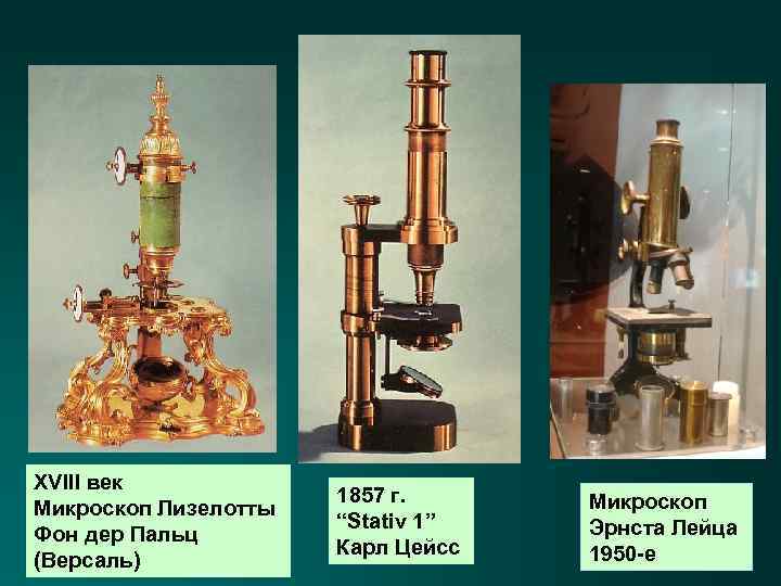 XVIII век Микроскоп Лизелотты Фон дер Пальц (Версаль) 1857 г. “Stativ 1” Карл Цейсс
