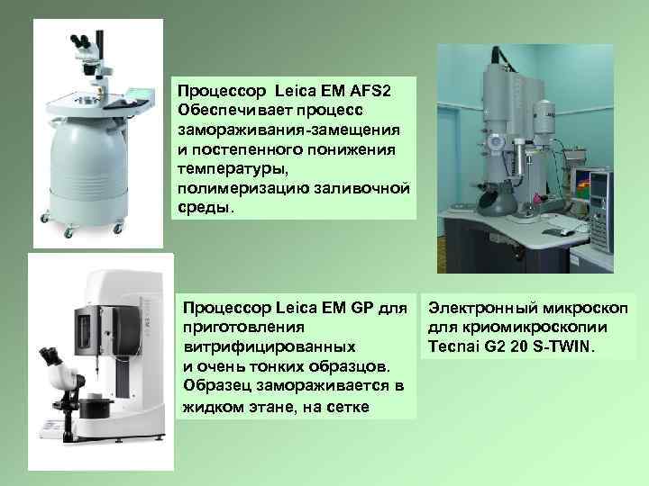 Процессор Leica EM AFS 2 Обеспечивает процесс замораживания-замещения и постепенного понижения температуры, полимеризацию заливочной