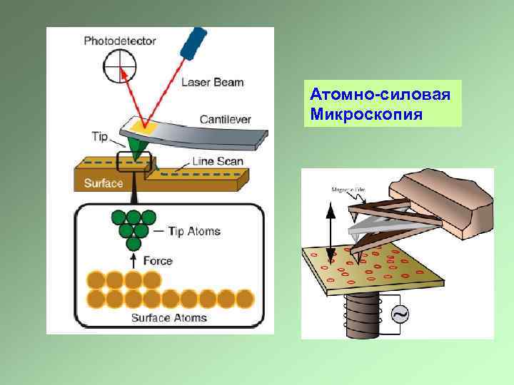 Pap метод иммуногистохимия схема