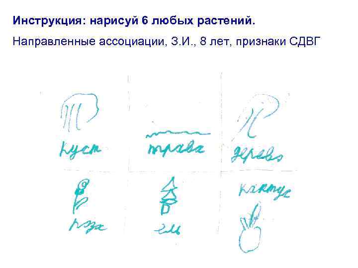 Инструкция: нарисуй 6 любых растений. Направленные ассоциации, З. И. , 8 лет, признаки СДВГ