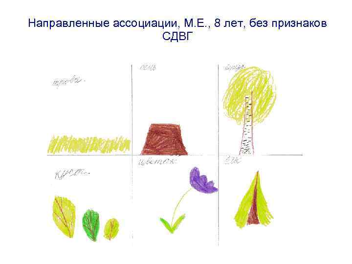 Направленные ассоциации, М. Е. , 8 лет, без признаков СДВГ 