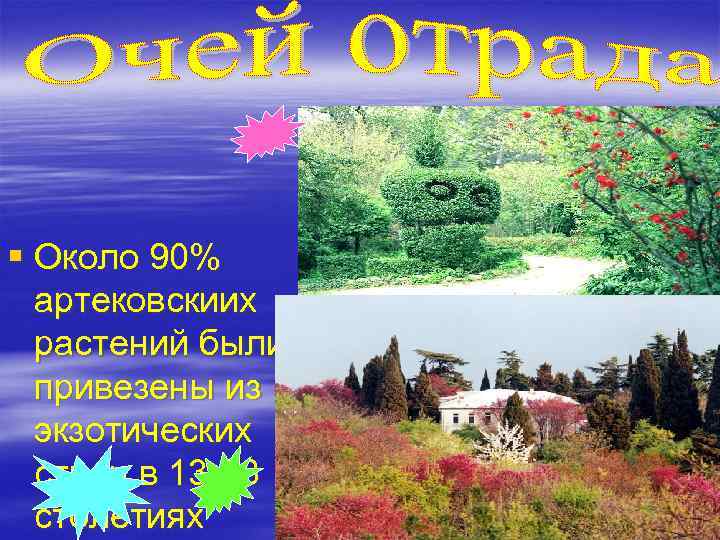  § Около 90% артековскиих растений были привезены из экзотических стран в 13 -18