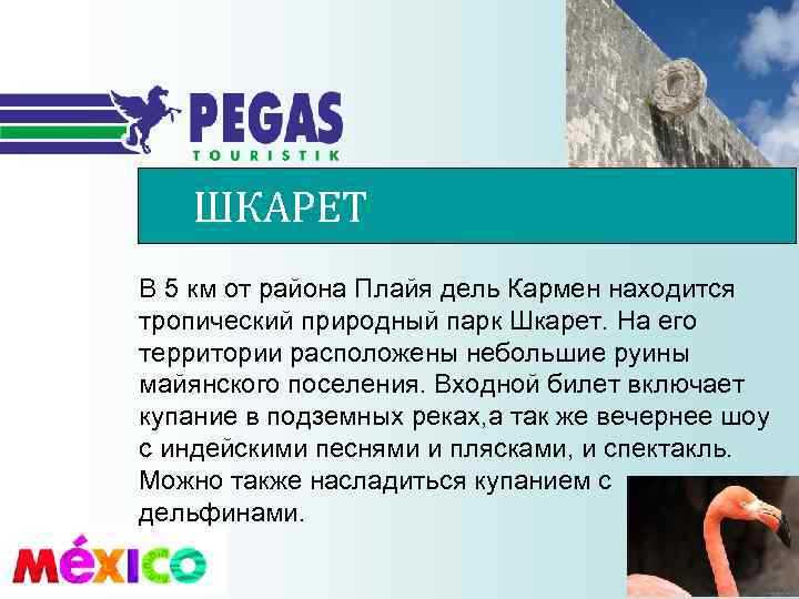 ШКАРЕТ В 5 км от района Плайя дель Кармен находится тропический природный парк Шкарет.