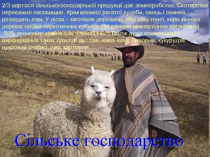 2/3 вартості сільськогосподарської продукції дає землеробство. Скотарство переважно пасовищне. Крім великої рогатої худоби, овець