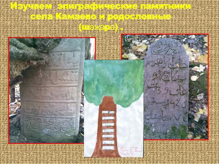 Изучаем эпиграфические памятники села Камаево и родословные (шәҗәрә). 