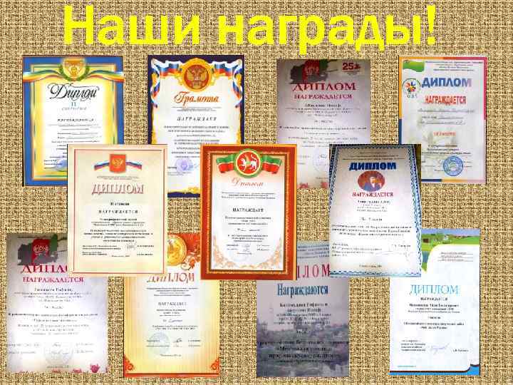 Наши награды! 