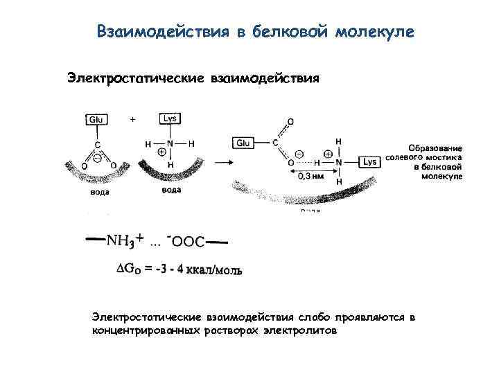 Примеры каталитических белков