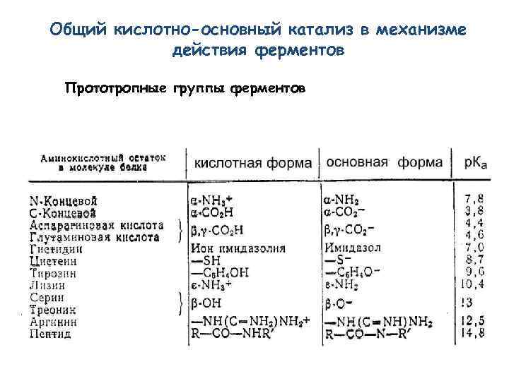 Общий кислотно-основный катализ в механизме действия ферментов Прототропные группы ферментов 