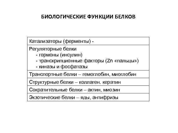 БИОЛОГИЧЕСКИЕ ФУНКЦИИ БЕЛКОВ Катализаторы (ферменты) Регуляторные белки - гормоны (инсулин) - транскрипционные факторы (Zn