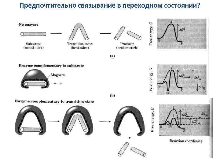 Предпочтительно связывание в переходном состоянии? 