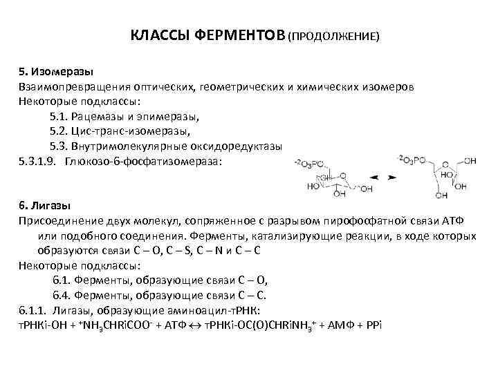 КЛАССЫ ФЕРМЕНТОВ (ПРОДОЛЖЕНИЕ) 5. Изомеразы Взаимопревращения оптических, геометрических и химических изомеров Некоторые подклассы: 5.