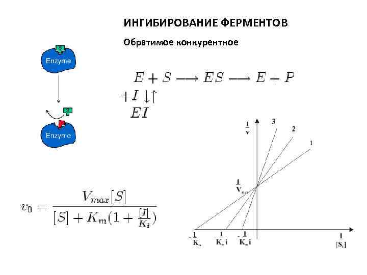 ИНГИБИРОВАНИЕ ФЕРМЕНТОВ Обратимое конкурентное 
