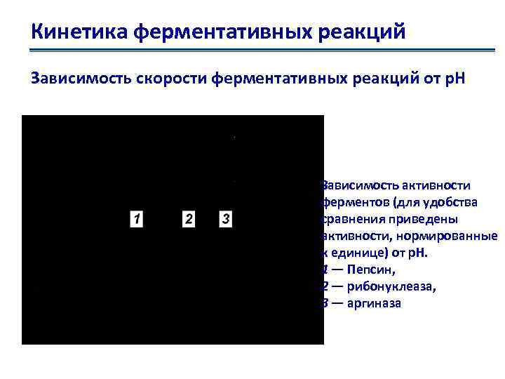 Кинетика ферментативных реакций Зависимость скорости ферментативных реакций от р. Н Зависимость активности ферментов (для
