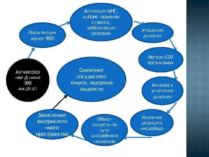 Оксигенация менее 90% Активация ЦНС, выброс гормонов стресса, мобилизация резервов Учащение дыхания Потеря СО