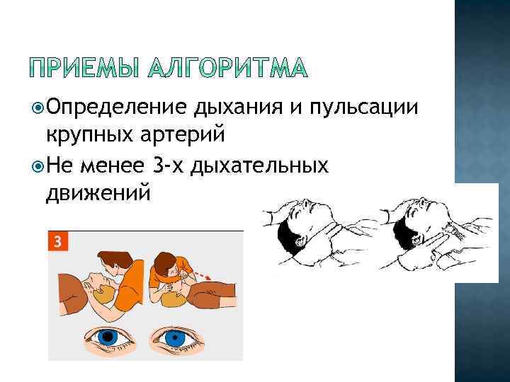  Определение дыхания и пульсации крупных артерий Не менее 3 -х дыхательных движений 