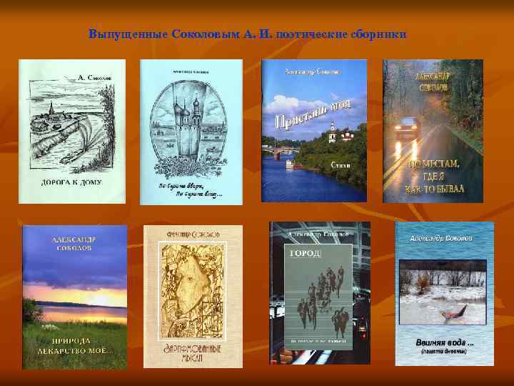 Выпущенные Соколовым А. И. поэтические сборники 