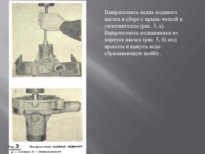 Выпрессовать валик водяного насоса в сборе с крыль чаткой и уплотнителем (рис. 3, а).