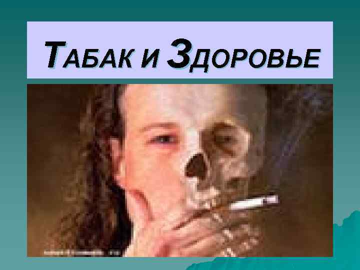 ТАБАК И ЗДОРОВЬЕ 