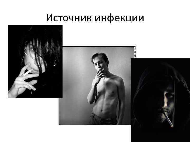 Источник инфекции 