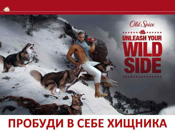 WELCOME ПРОБУДИ В СЕБЕ ХИЩНИКА 