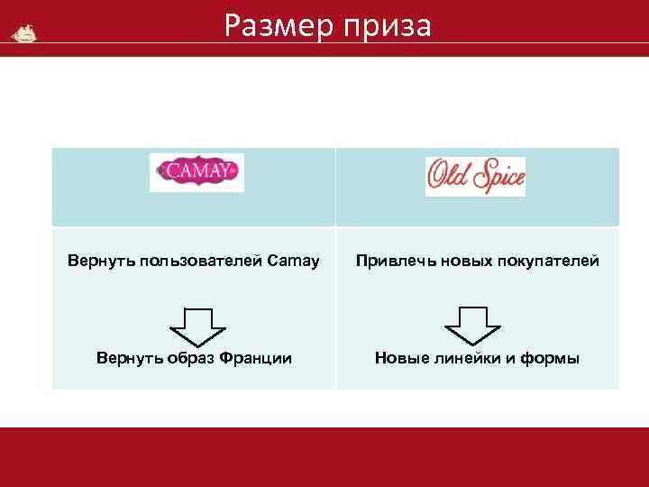 Размер приза Вернуть пользователей Camay Привлечь новых покупателей Вернуть образ Франции Новые линейки и