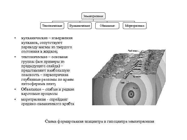 Землетрясения Тектонические • • Вулканические Обвальные Моретрясения вулканические – извержения вулканов, сопутствуют переходу магмы