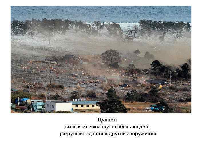 Цунами вызывает массовую гибель людей, разрушает здания и другие сооружения 