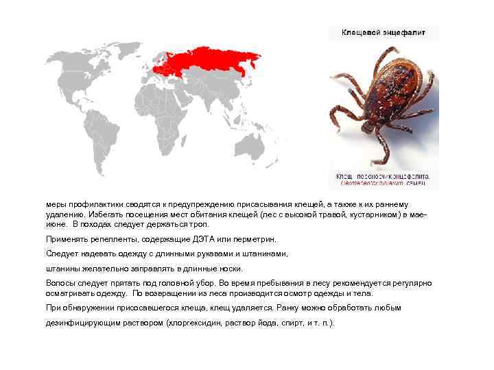 меры профилактики сводятся к предупреждению присасывания клещей, а также к их раннему удалению. Избегать