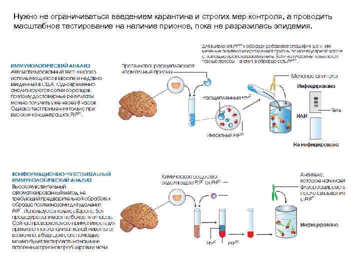 Нужно не ограничиваться введением карантина и строгих мер контроля, а проводить масштабное тестирование на