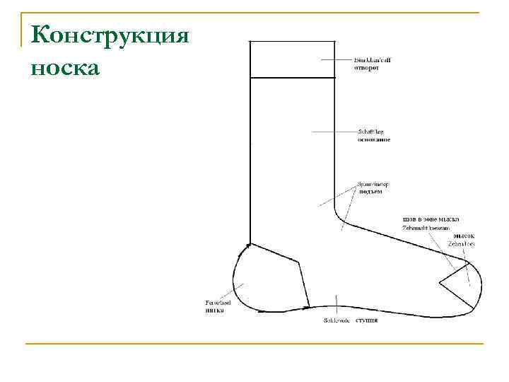 Технический эскиз носка