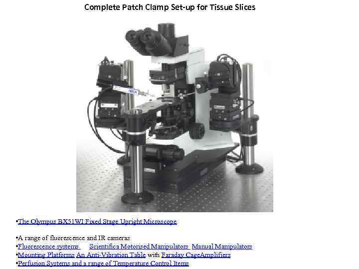 Complete Patch Clamp Set-up for Tissue Slices • The Olympus BX 51 WI Fixed