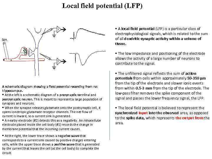 Local field potential (LFP) § A local field potential (LFP) is a particular class